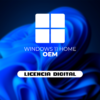 WINDOWS 11 HOME OEM | RETAIL