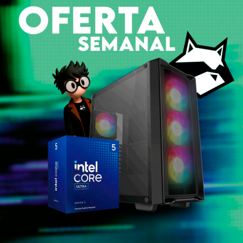 INTEL ULTRA 5 255 | RX 9060XT 16GB